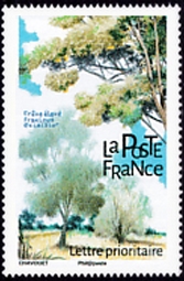  Les arbres <br>Le Frêne