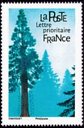  Les arbres <br>Le Séquoia