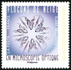 Flocons de neige en microscopie optique 