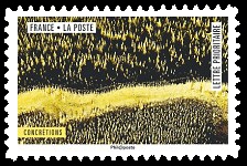 timbre N° 1511, Oeuvres de la nature