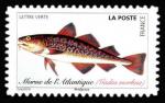  Poissons de mer 