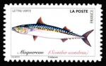  Poissons de mer 