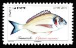  Poissons de mer 