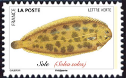 timbre N° 1689, Poissons de mer