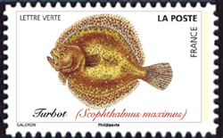 timbre N° 1688, Poissons de mer