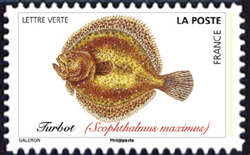  Poissons de mer <br>Turbot