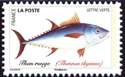 timbre N° 1683, Poissons de mer