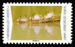 timbre N° 1823, Animaux du monde «Reflets» - Grenouilles vertes