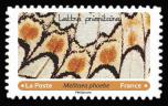 timbre N° 1803, « Effets papillons ». détails d'ailes