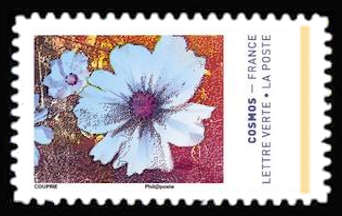 Les couleurs du Cosmos <br>bleu