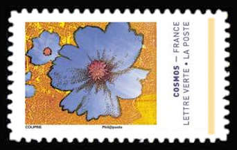  Les couleurs du Cosmos <br>bleu