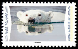  Animaux du monde «Reflets» - Ours polaire 