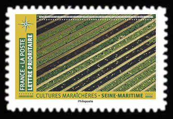  Mosaïque de paysages <br>Cultures maraichères de la Seine-maritime