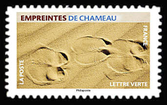  Empreintes d’animaux <br>Empreintes de chameau