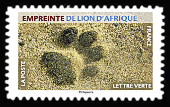  Empreintes d’animaux <br>Empreinte de lion d'Afrique