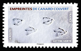  Empreintes d’animaux <br>Empreintes de canard colvert