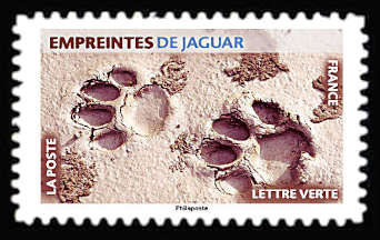  Empreintes d’animaux <br>Empreintes de jaguar