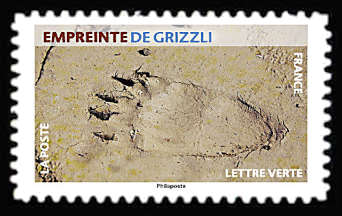  Empreintes d’animaux <br>Empreinte de grizzli