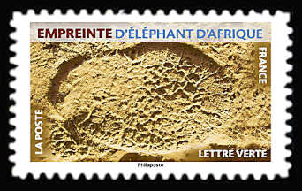  Empreintes d’animaux <br>Empreinte d'éléphant d'Afrique