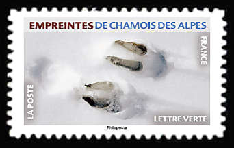  Empreintes d’animaux <br>Empreintes de chamois des Alpes