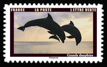  Les animaux au crépuscule <br>Grands dauphins