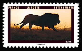  Les animaux au crépuscule <br>Lion