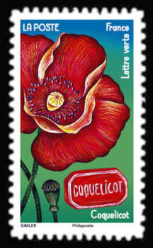  Fleurs et Douceurs <br>Le coquelicot et le bonbon