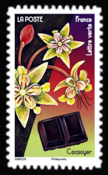  Fleurs et Douceurs <br>Cacaoyer et le chocolat