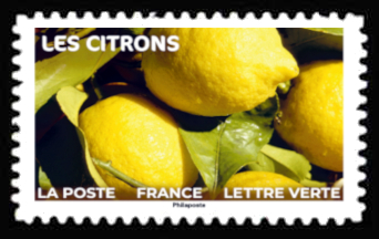  Fruits à Savourer <br>Les citrons