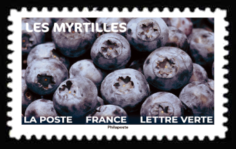  Fruits à Savourer <br>Les myrtilles