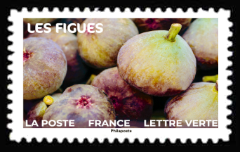  Fruits à Savourer <br>Les figues