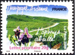  Flore des régions <br>Champagne-Ardenne - L'ophrys abeille