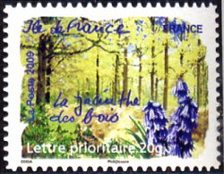  Flore des régions <br>Ile-de-France - La jacinthe des bois