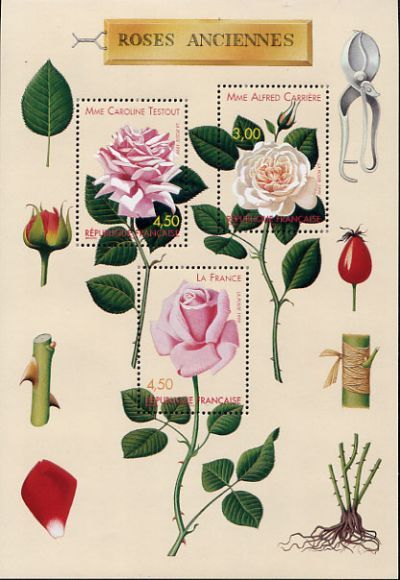 timbre Bloc feuillet N° 24, Congrès mondiale des roses anciennes à Lyon