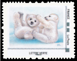 L'ours blanc est carnivore