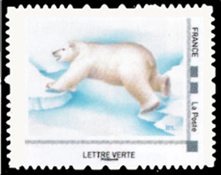 L'ours blanc est carnivore