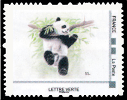 Le Panda est herbivore