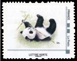 Le Panda est herbivore