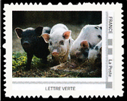 Lapins et Cohons