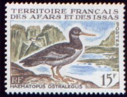 Faune/