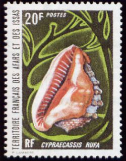 Faune