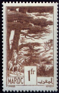 Forêt