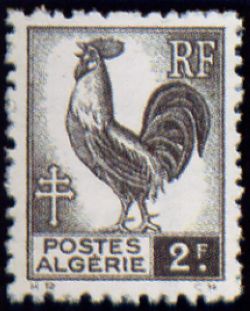 Coq