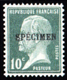  Type Pasteur 