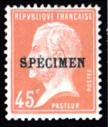  Type Pasteur 