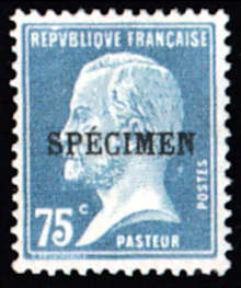  Type Pasteur 