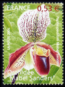 timbre N° 3763, Série nature : Les Orchidées
