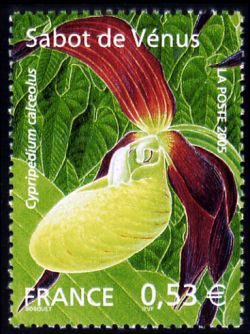 timbre N° 3764, Série nature : Les Orchidées