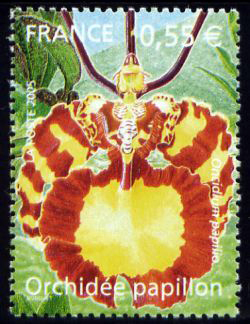 timbre N° 3765, Série nature : Les Orchidées
