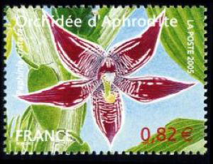 timbre N° 3766, Série nature : Les Orchidées